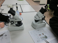 CIMG6230