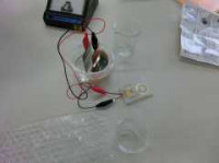 pict-CIMG7530