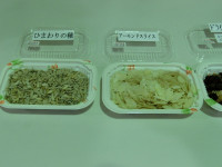 CIMG8399