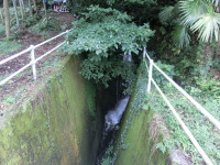 CIMG1151